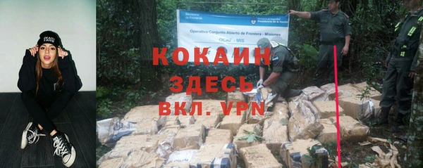 мяу мяу кристалл Вяземский
