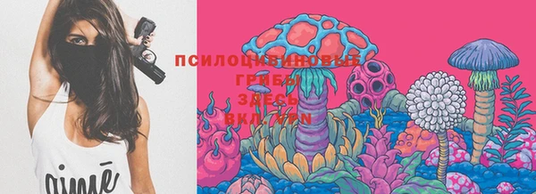 гидропоника Вязники