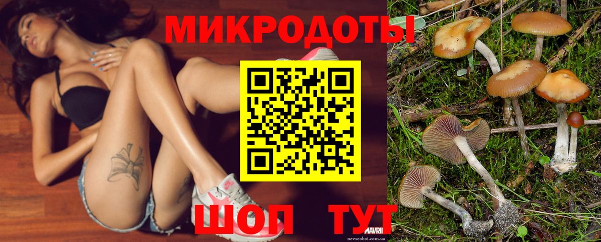 Галлюциногенные грибы Psilocybine cubensis  Вход с VPN  купить наркоту  Находка 